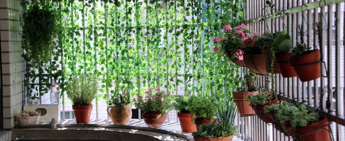 The Smart Way to Build a Balcony Garden in Any High-Rise Apartment