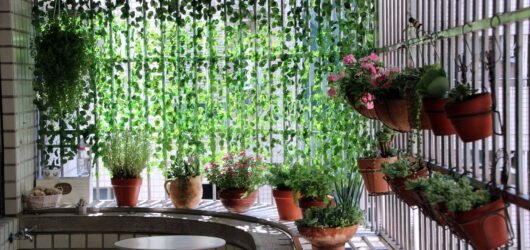 The Smart Way to Build a Balcony Garden in Any High-Rise Apartment